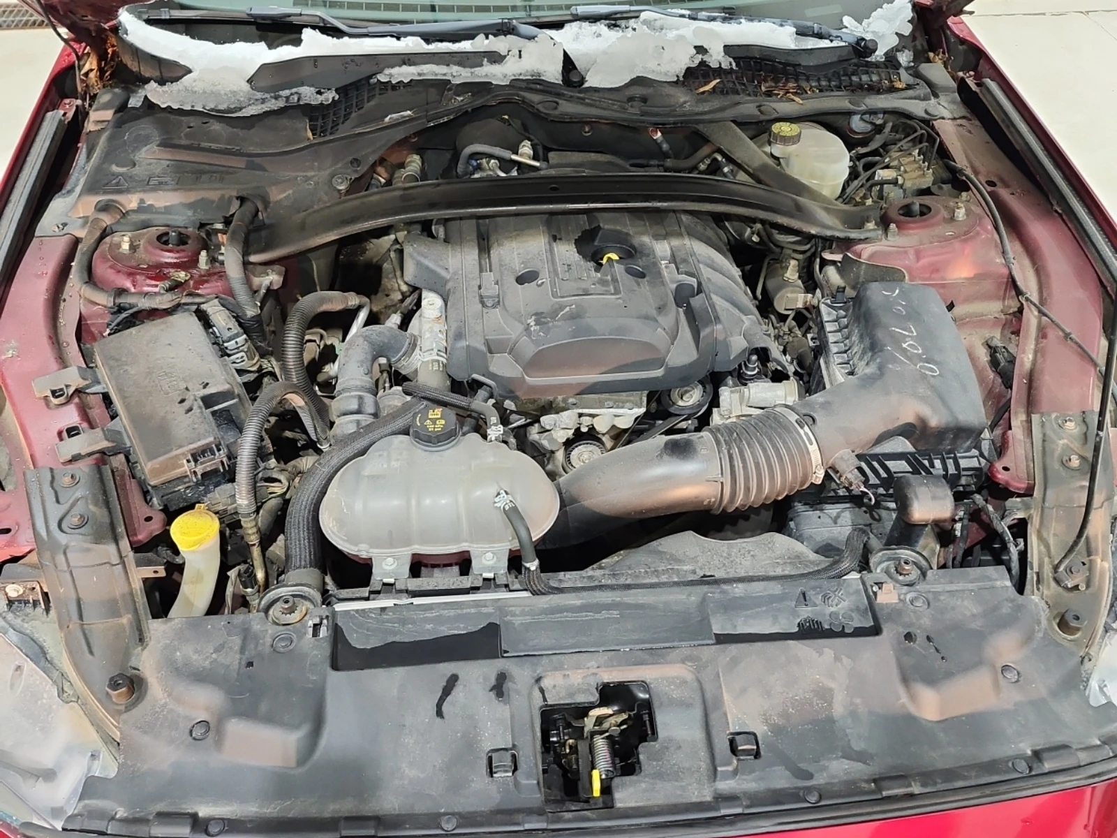 Ford Mustang * CARFAX *    | Mobile.bg   10