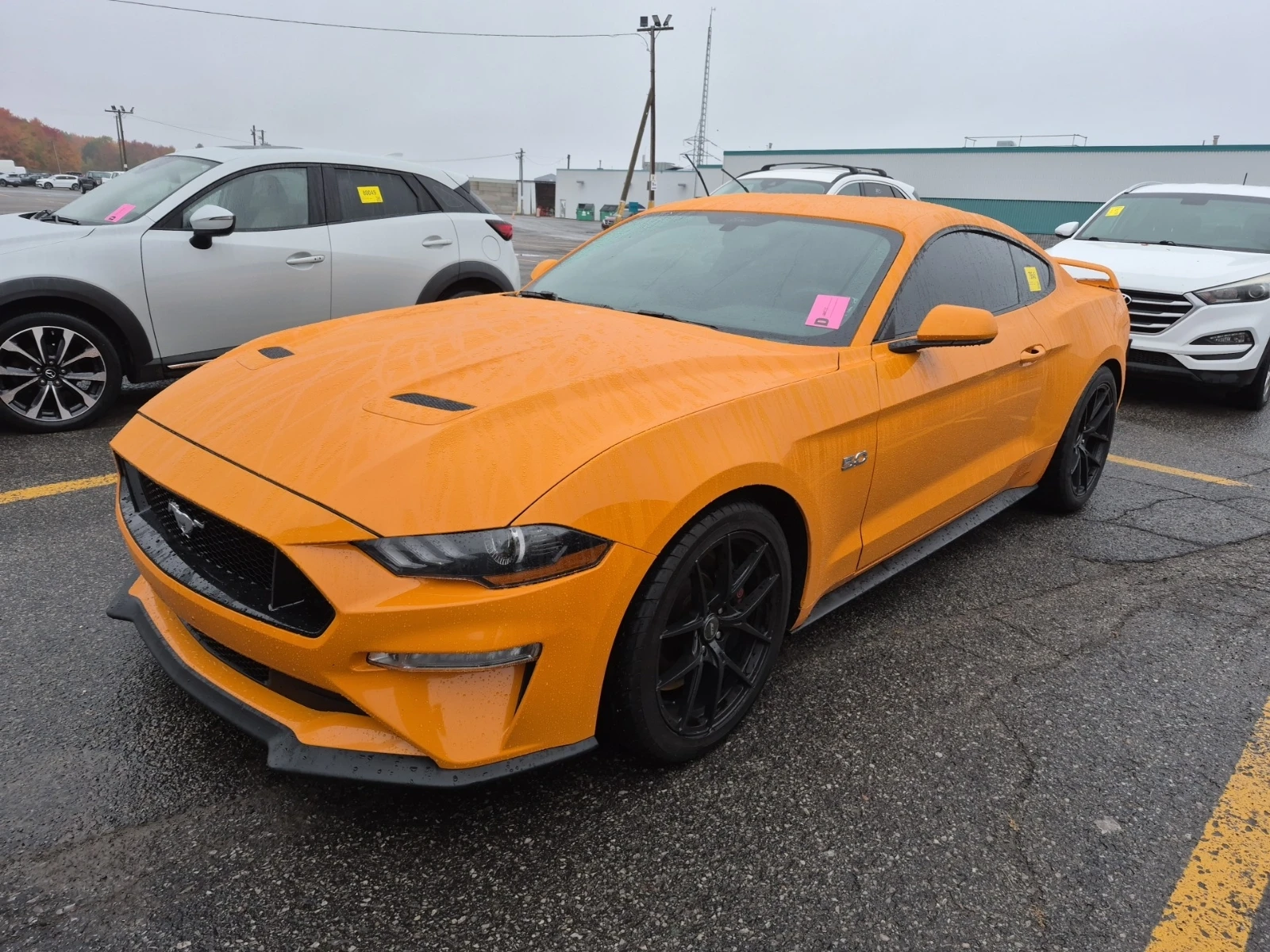 Ford Mustang GT 8cyl | Mobile.bg � ����������� 14