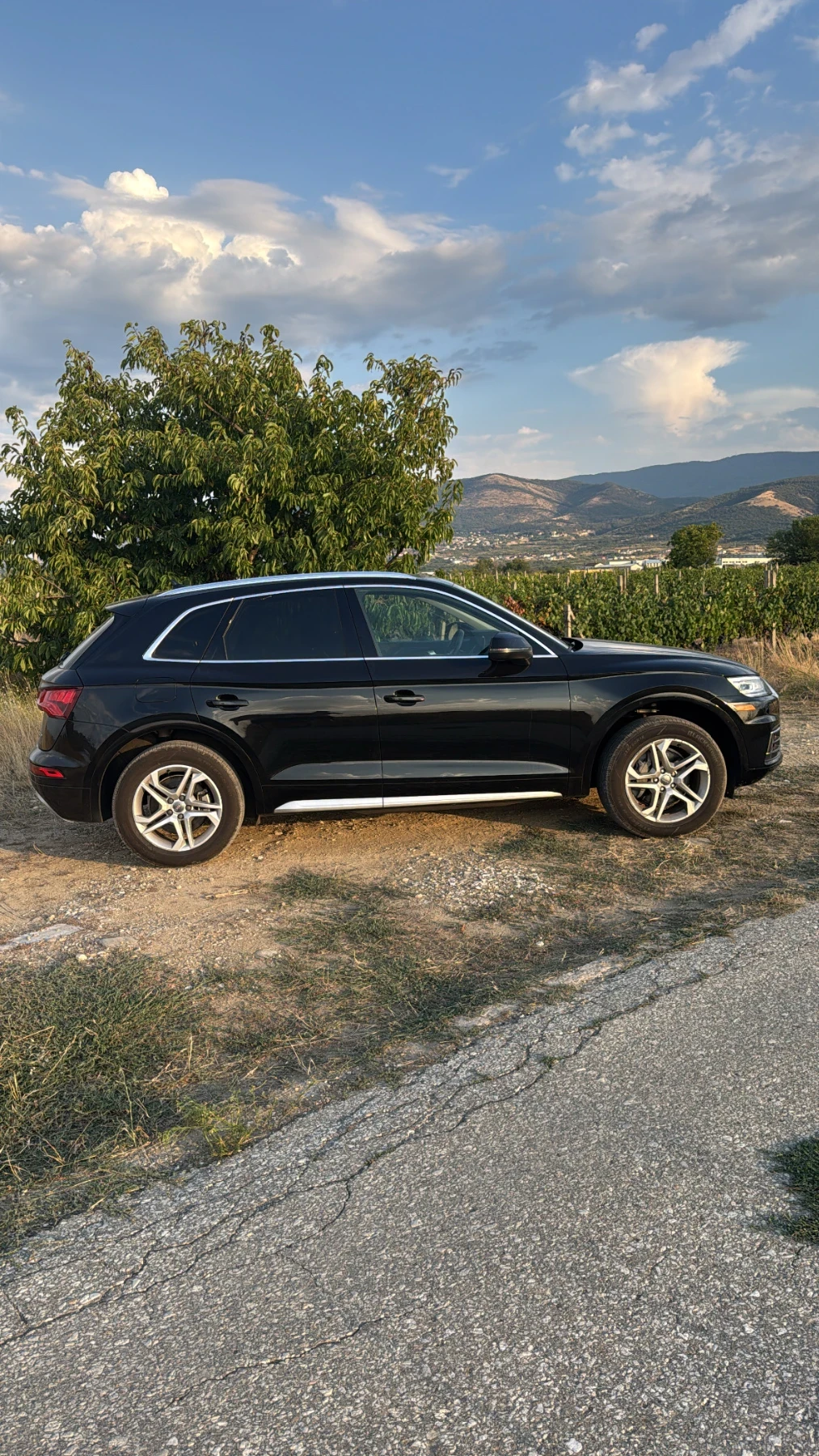 Audi Q5, снимка 4 - Автомобили и джипове - 55805554