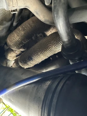VW Golf 1, 9 TDI, снимка 4