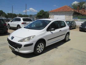     Peugeot 307 1.6hdi N1