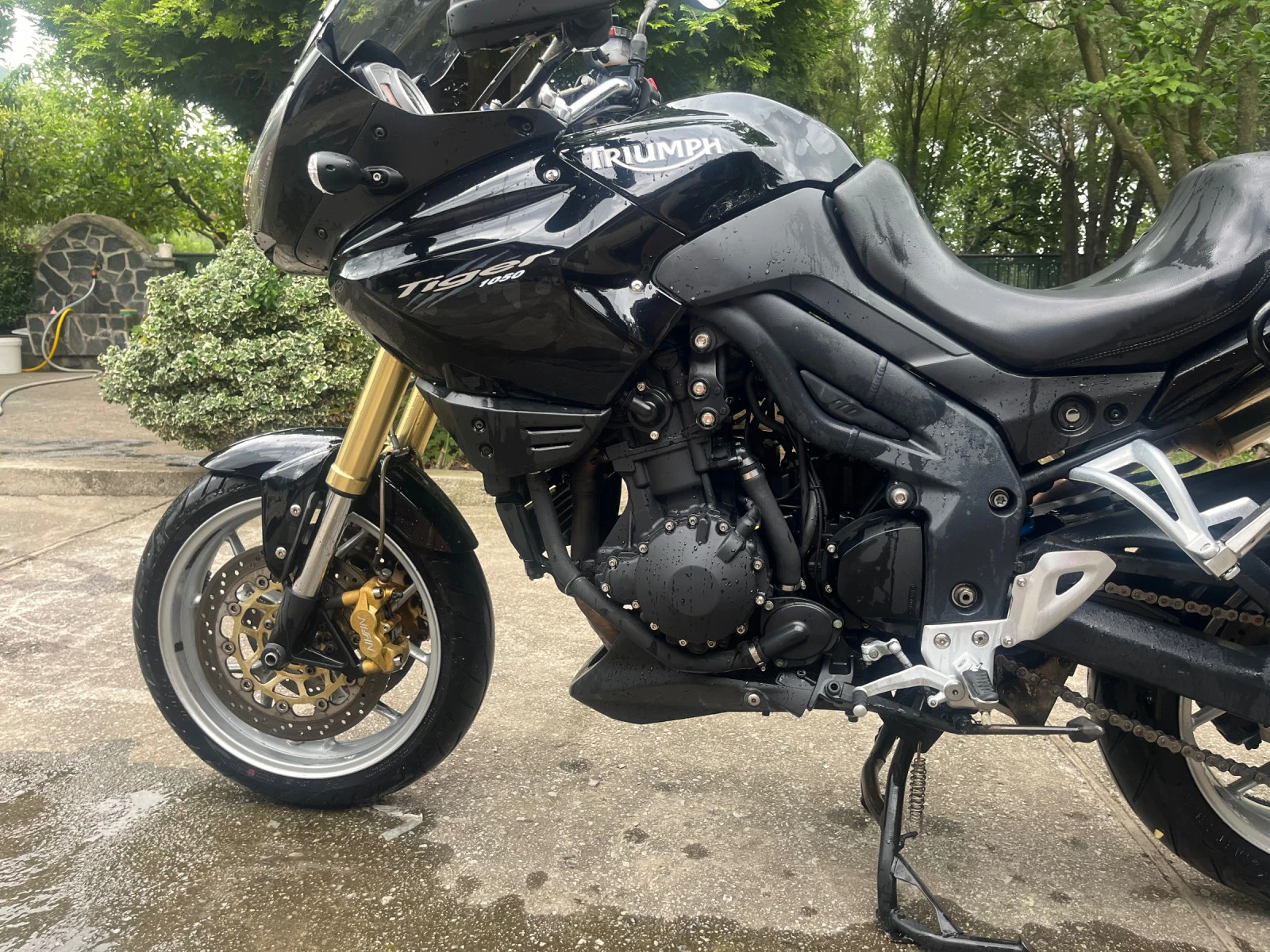 Triumph Tiger 1050i  - изображение 6