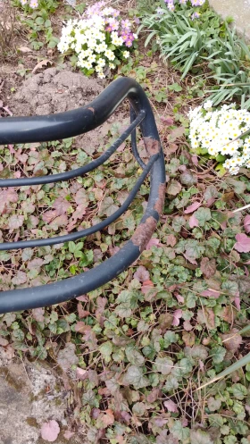 �������� �  | Mobile.bg � ����� ������ 6