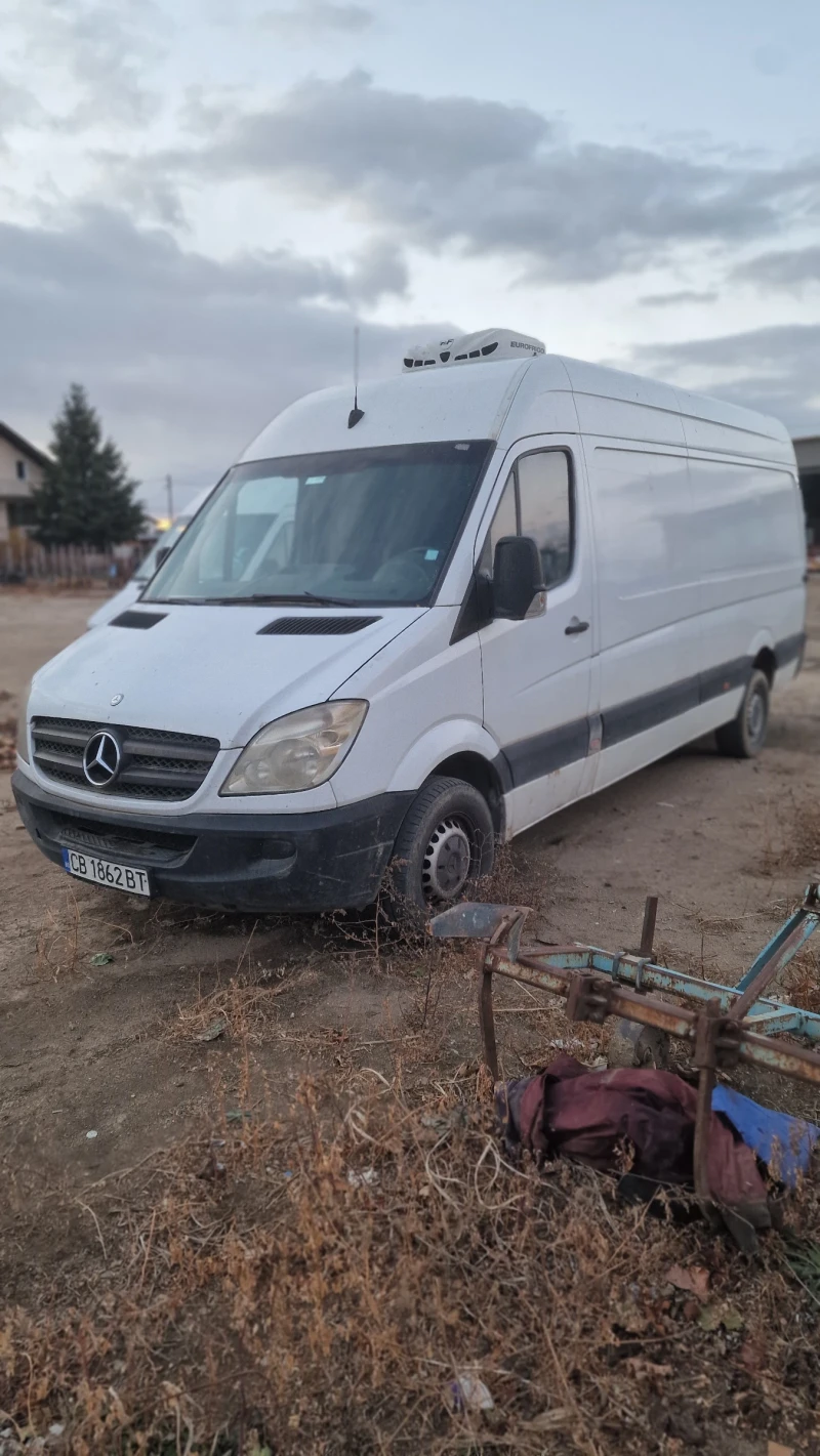 Mercedes-Benz Sprinter 313 Хладилен, снимка 3 - Бусове и автобуси - 48080736