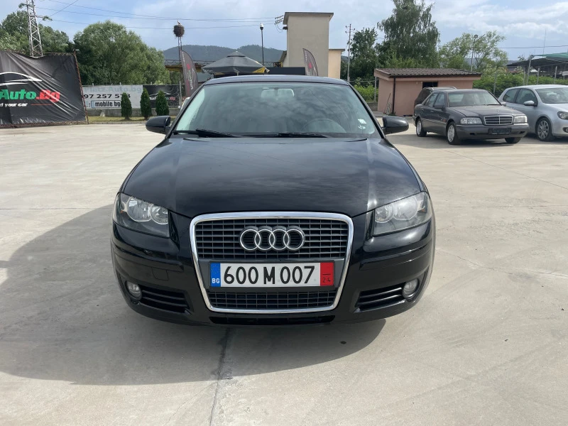 Audi A3 2.0TDI/190000km/NAPALNO OBSLUJEN, снимка 1 - Автомобили и джипове - 46188897