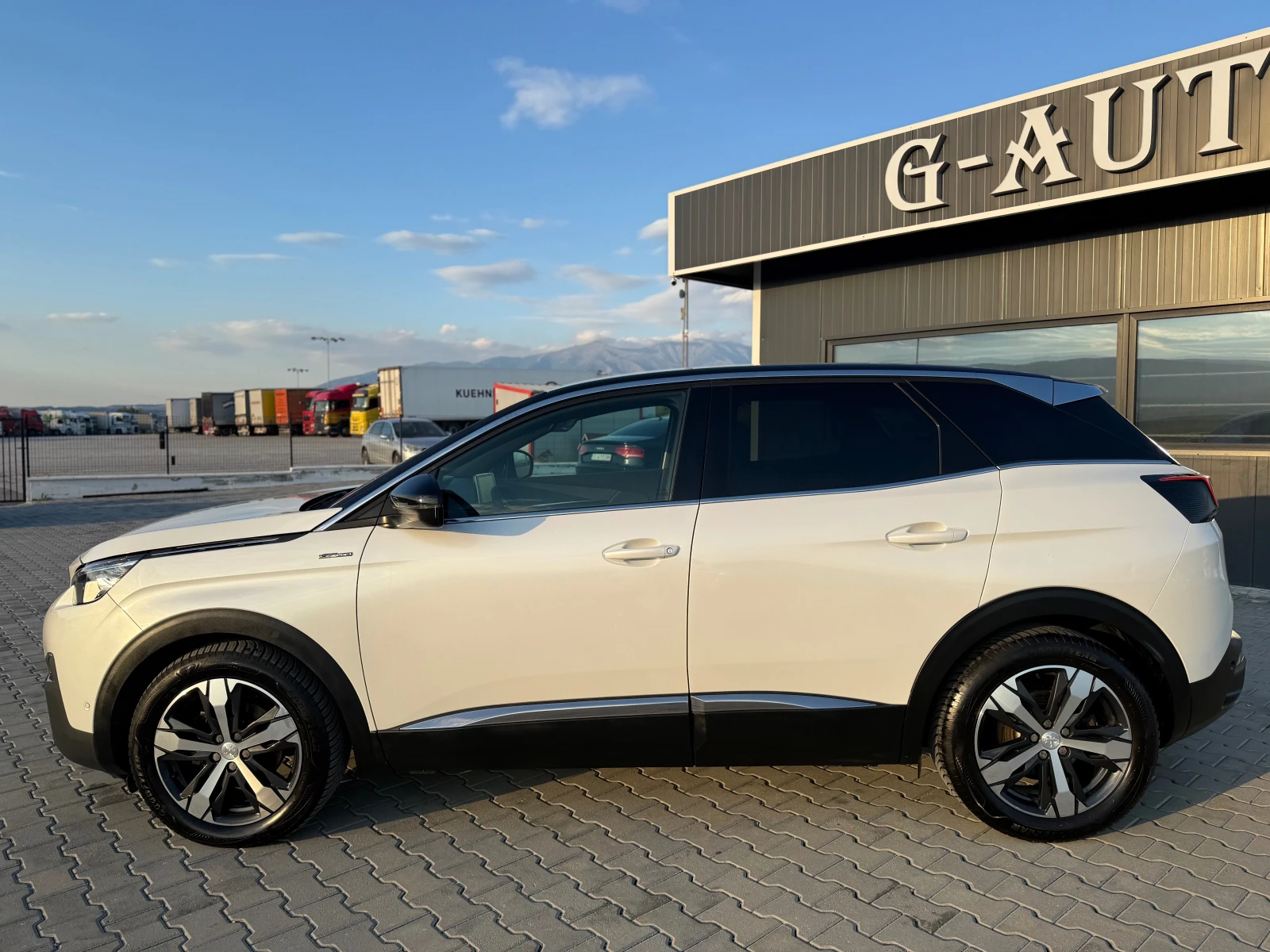 Peugeot 3008  - изображение 8