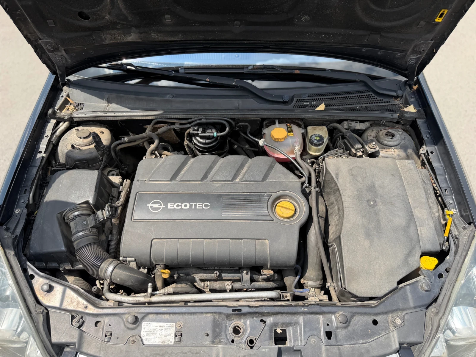 Opel Signum 1.9 TDI OPC ПАКЕТ, снимка 14 - Автомобили и джипове - 55605392