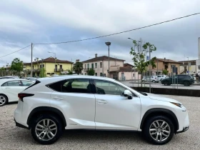 Lexus NX 300 4WD EXECUTIVE - [8] 