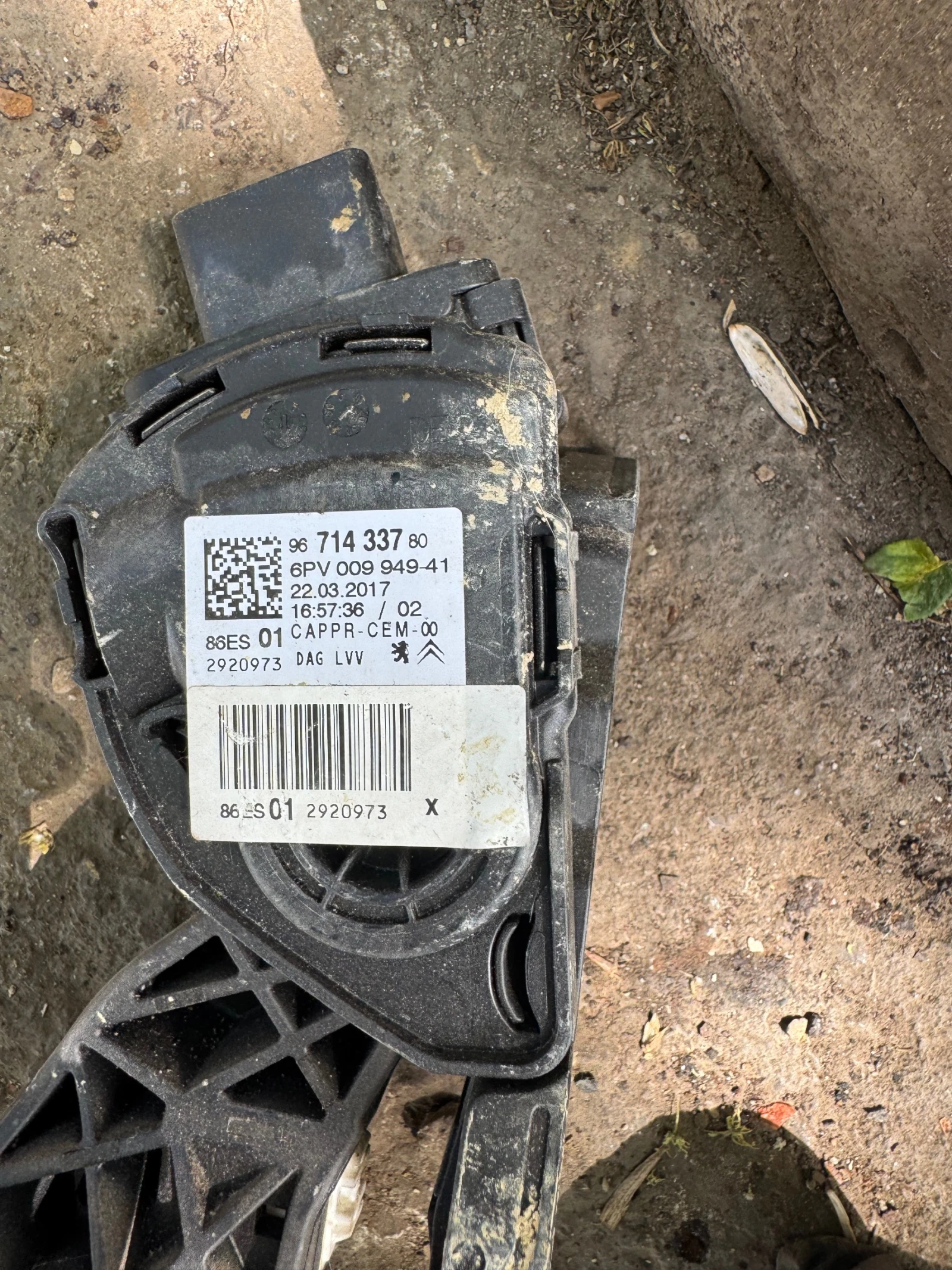 Citroen C4 Cactus 2016    | Mobile.bg   2