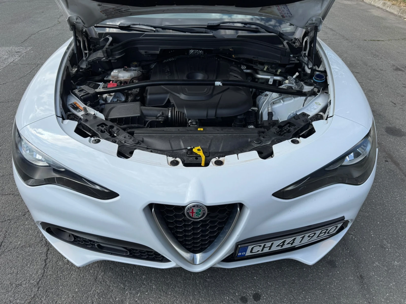 Alfa Romeo Stelvio 2.2, снимка 12 - Автомобили и джипове - 55610271