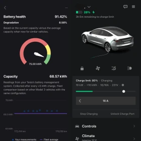 Tesla Model 3 Longe Range Dual Motor - 43900 лв. - 24461052 | Car24.bg