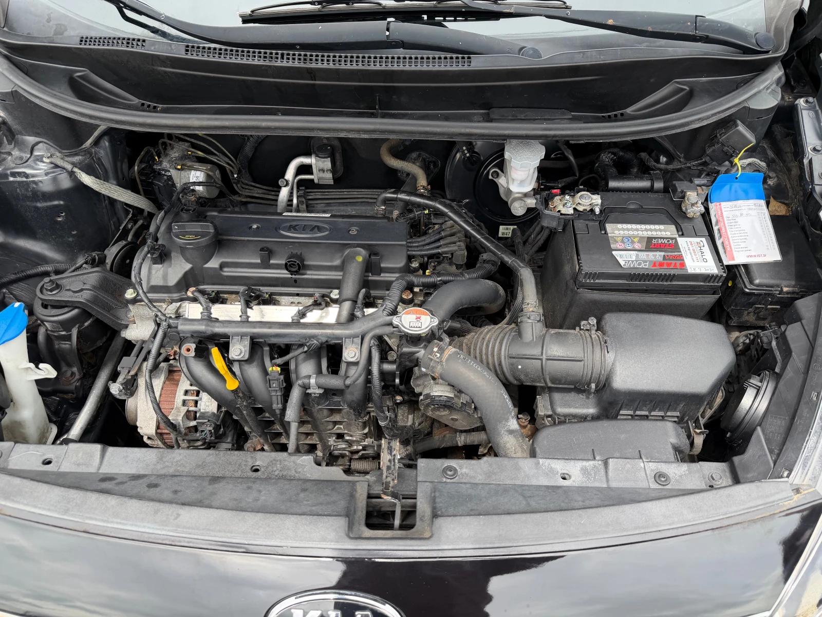 Kia Rio 1.25i 16v/85p.s-klima/5 vrati-Euro 5, снимка 15 - Автомобили и джипове - 54662094