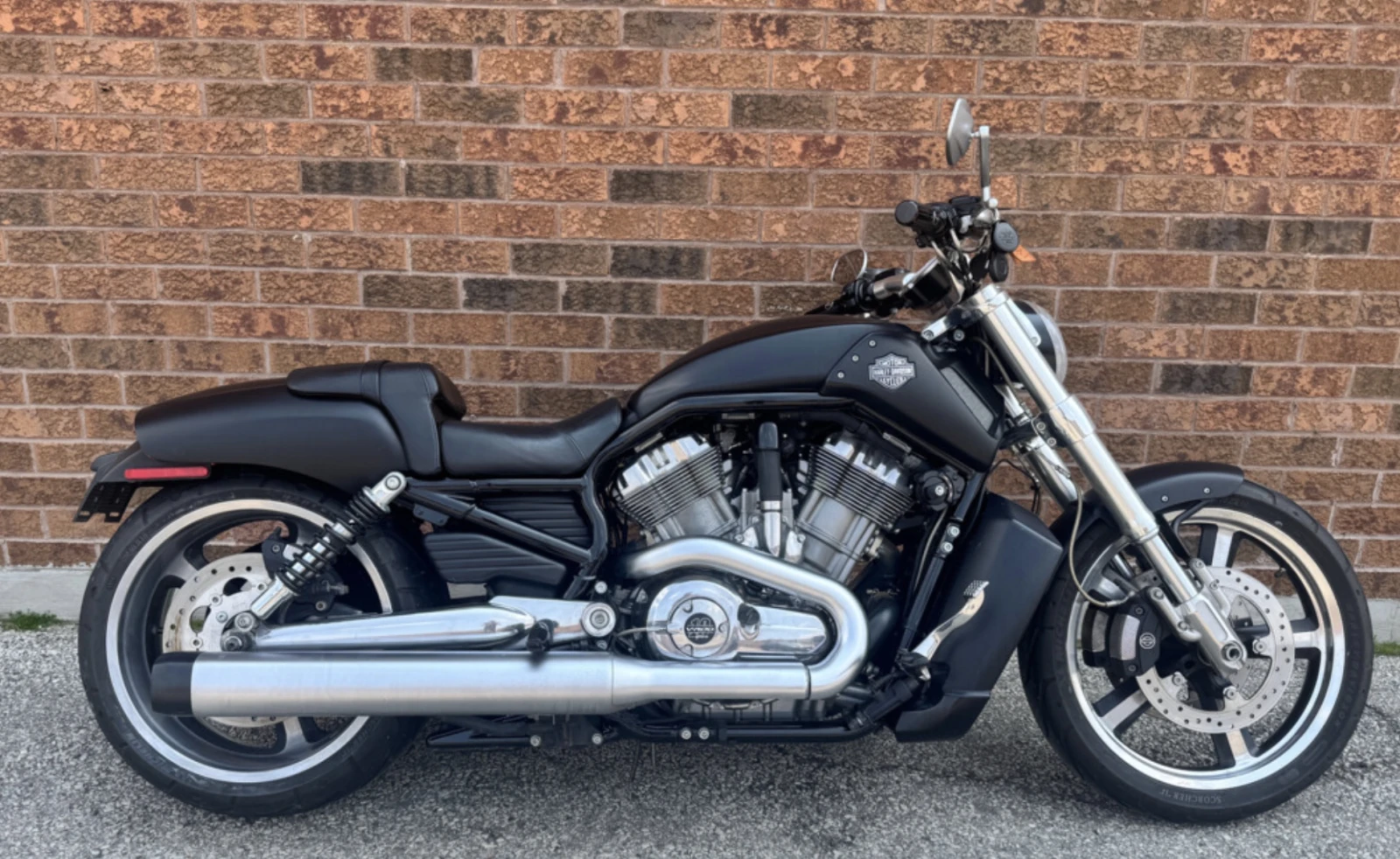 Harley-Davidson V-Rod Muscle  - изображение 2