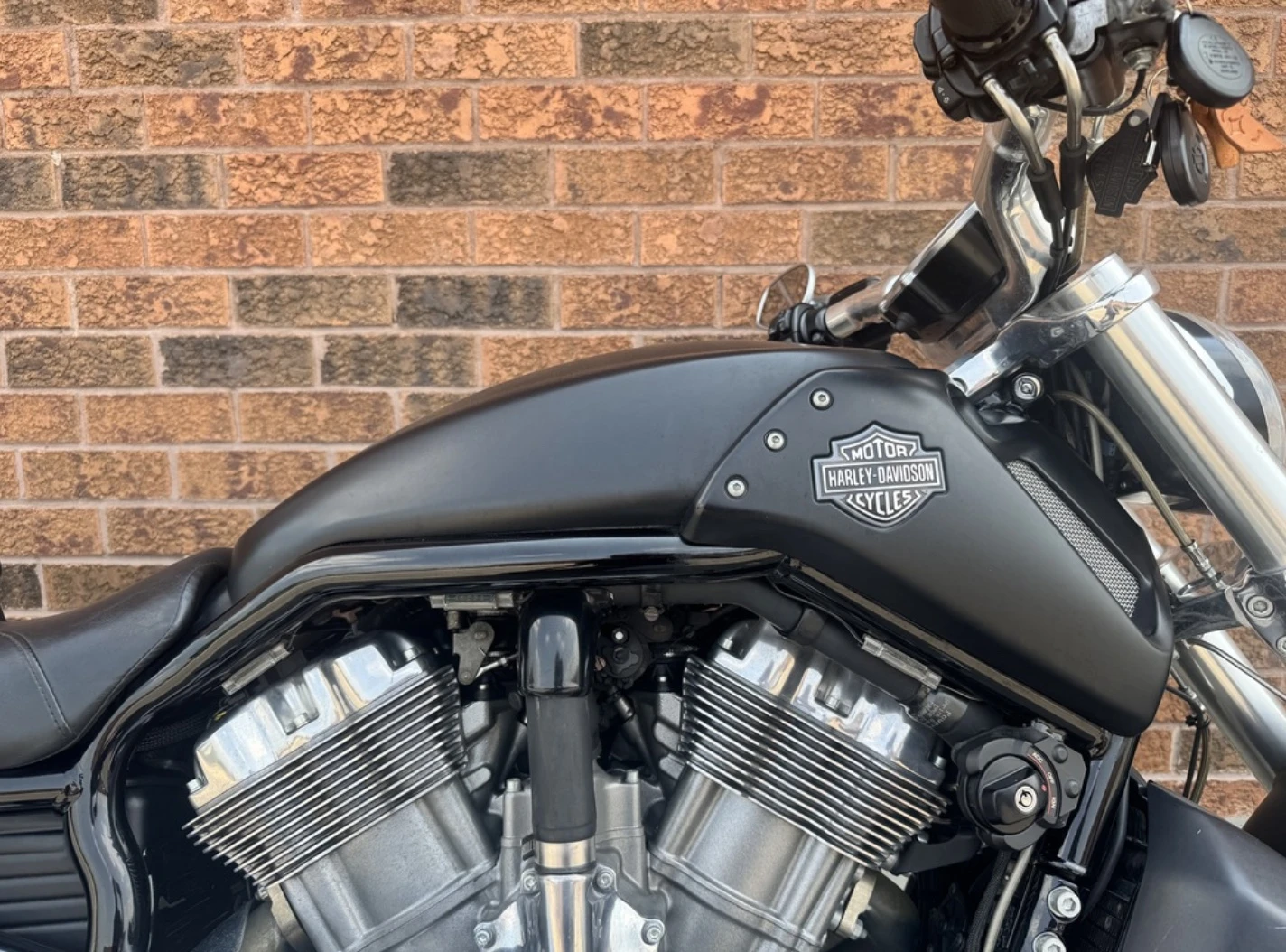 Harley-Davidson V-Rod Muscle  - изображение 4