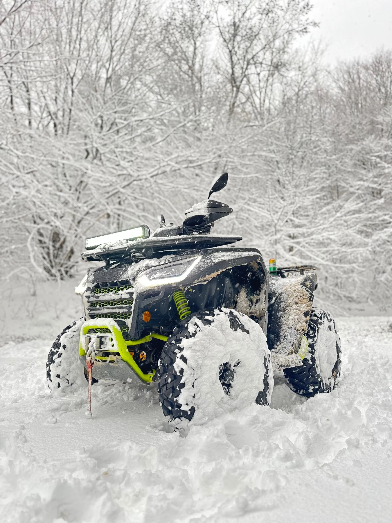 Segway Powersports ATV-Snarler 600 | Mobile.bg   1