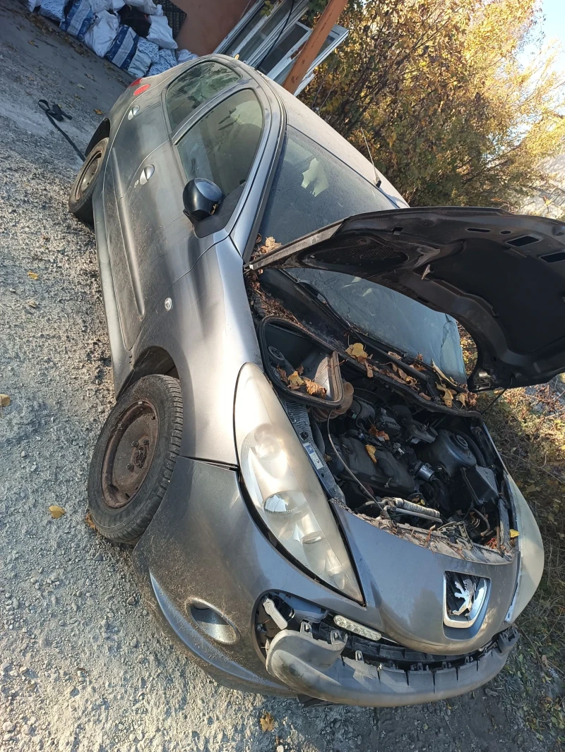 Peugeot 206, снимка 1 - Автомобили и джипове - 47841745