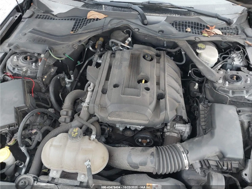 Ford Mustang ECOBOOST | Mobile.bg   13