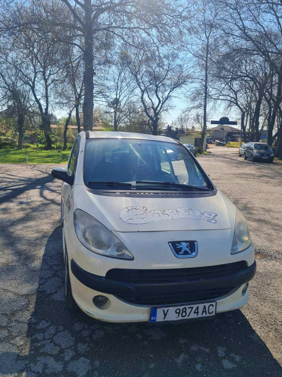 Peugeot 1007, снимка 10 - Автомобили и джипове - 55220043