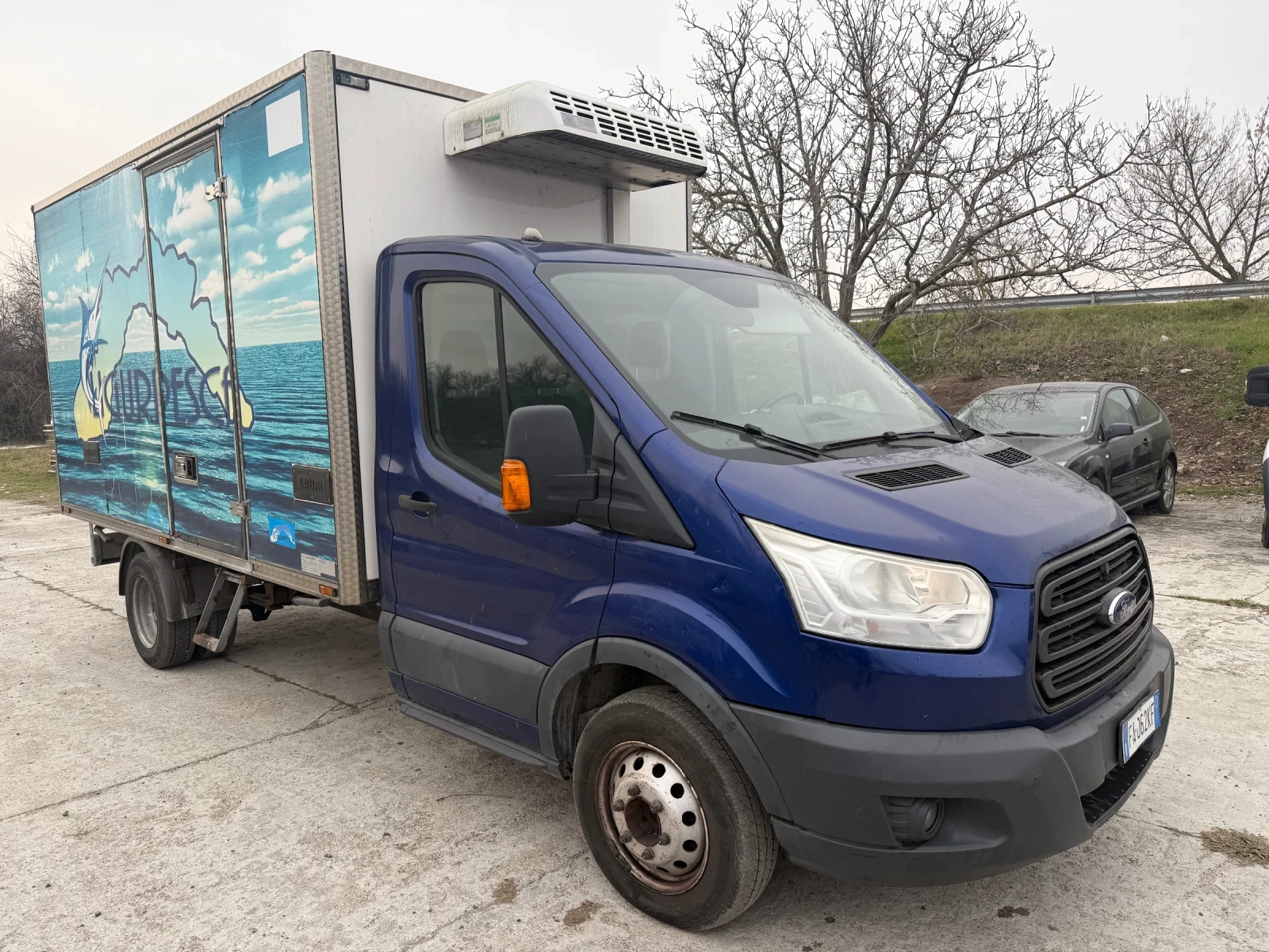 Ford Transit  Frigo + ��� | Mobile.bg � ����������� 1