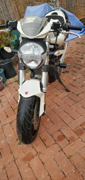  Ducati Monster