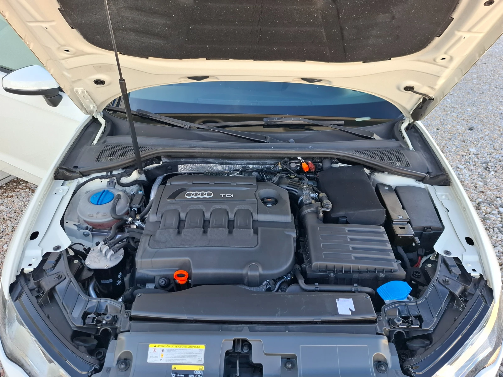 Audi A3 1.6TDI/Euro5B | Mobile.bg   14