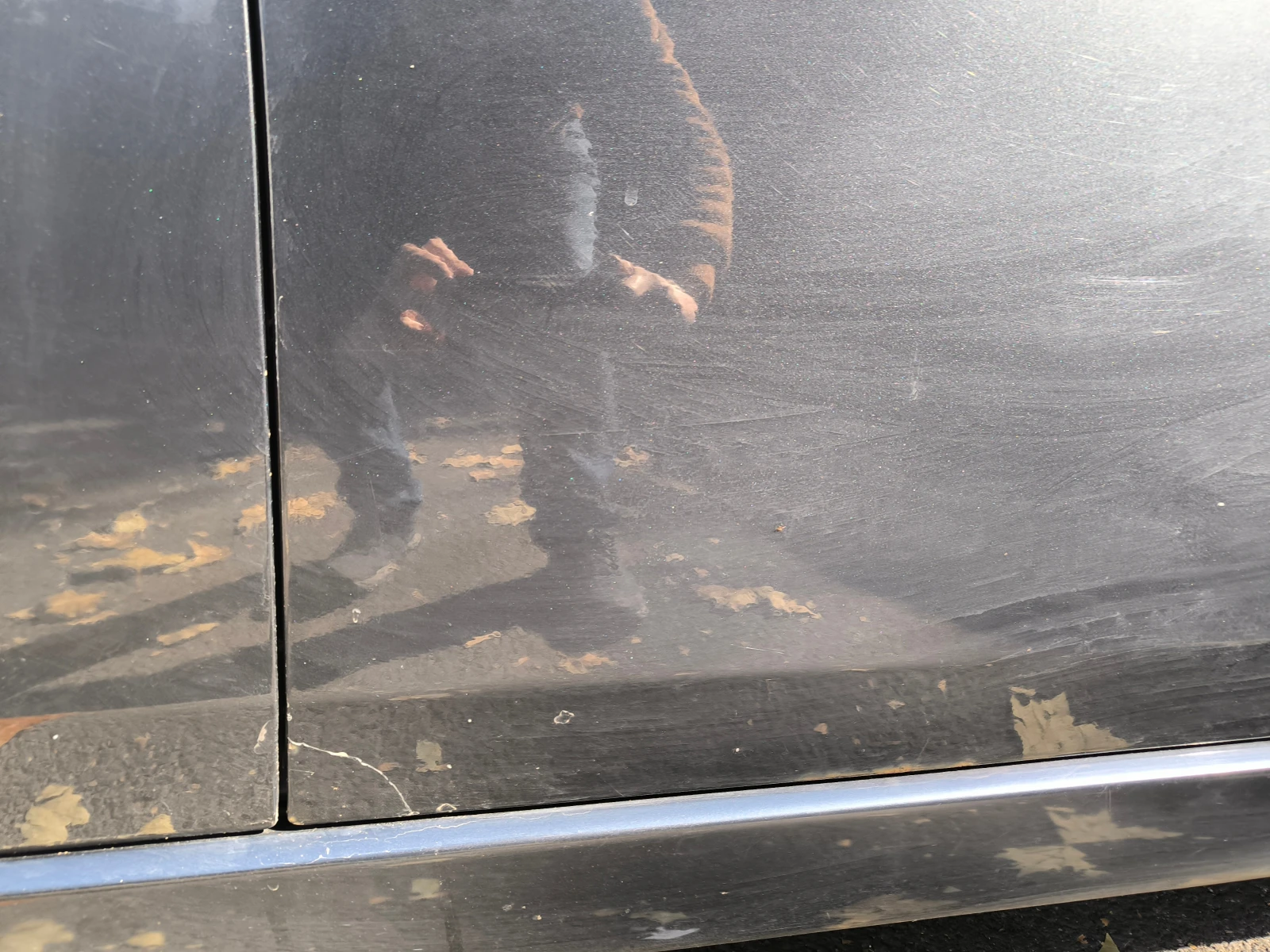 Honda Accord 7 - изображение 9