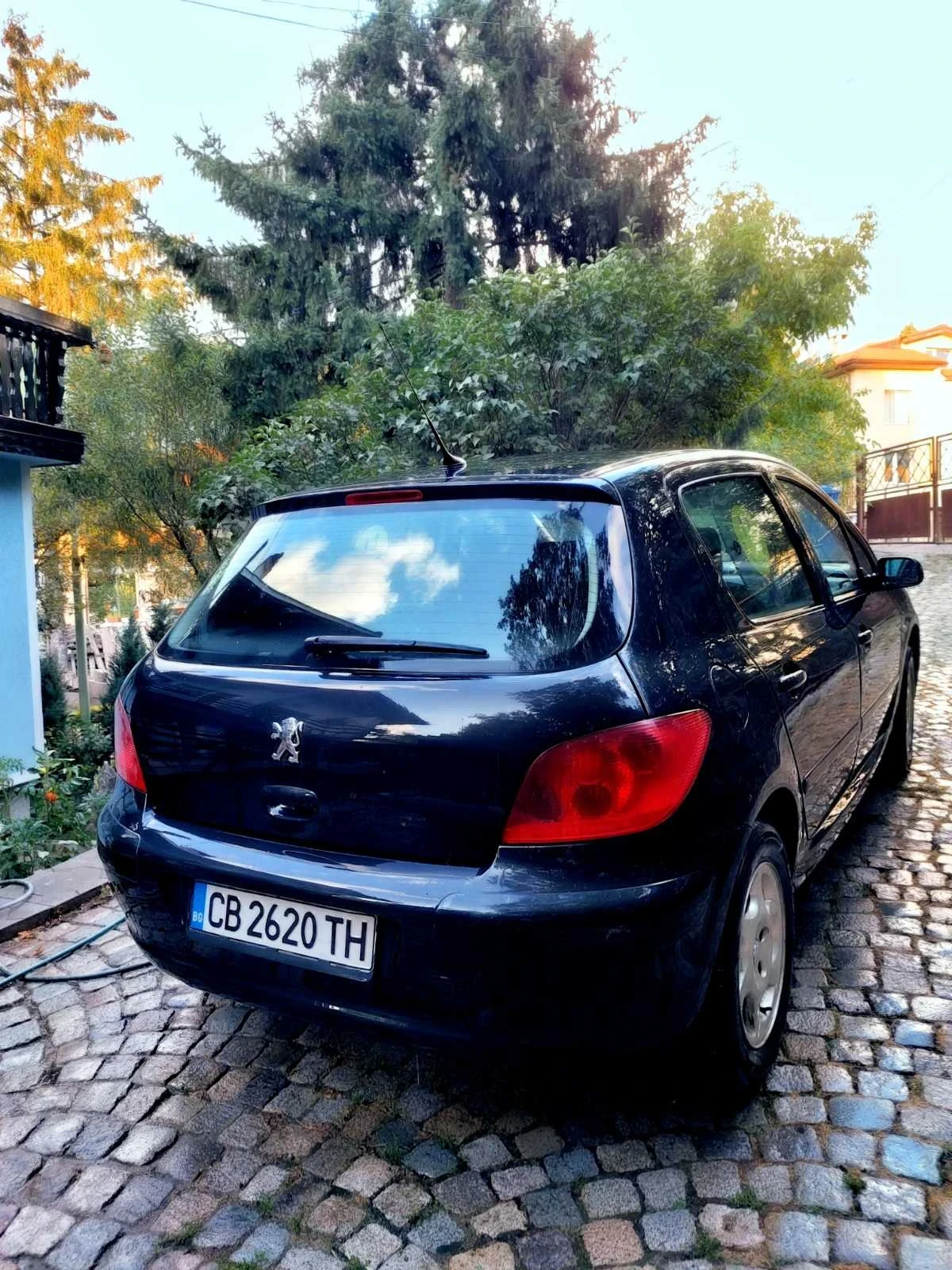 Peugeot 307 2.0 HDI, снимка 2 - Автомобили и джипове - 53770820