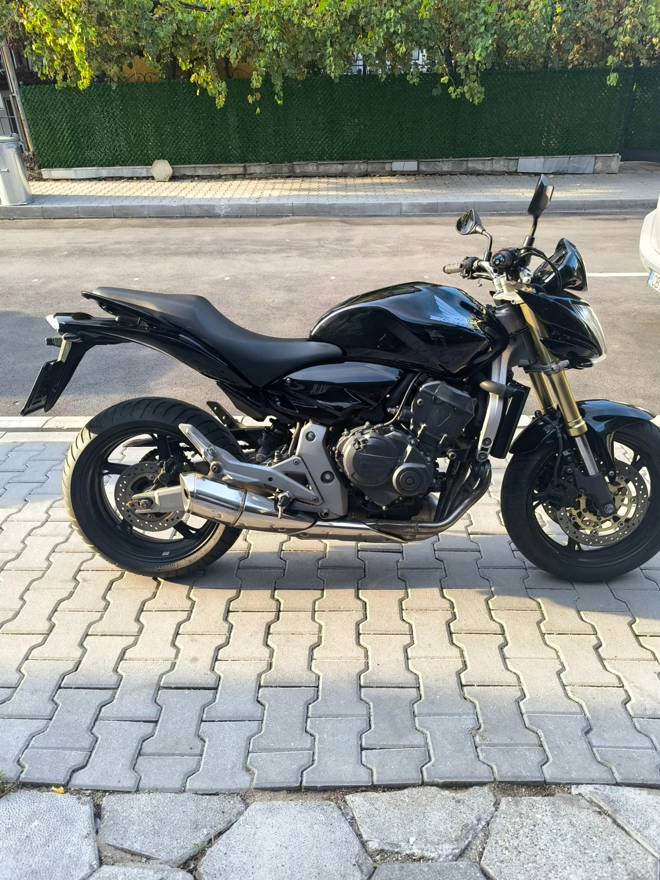 Honda Hornet