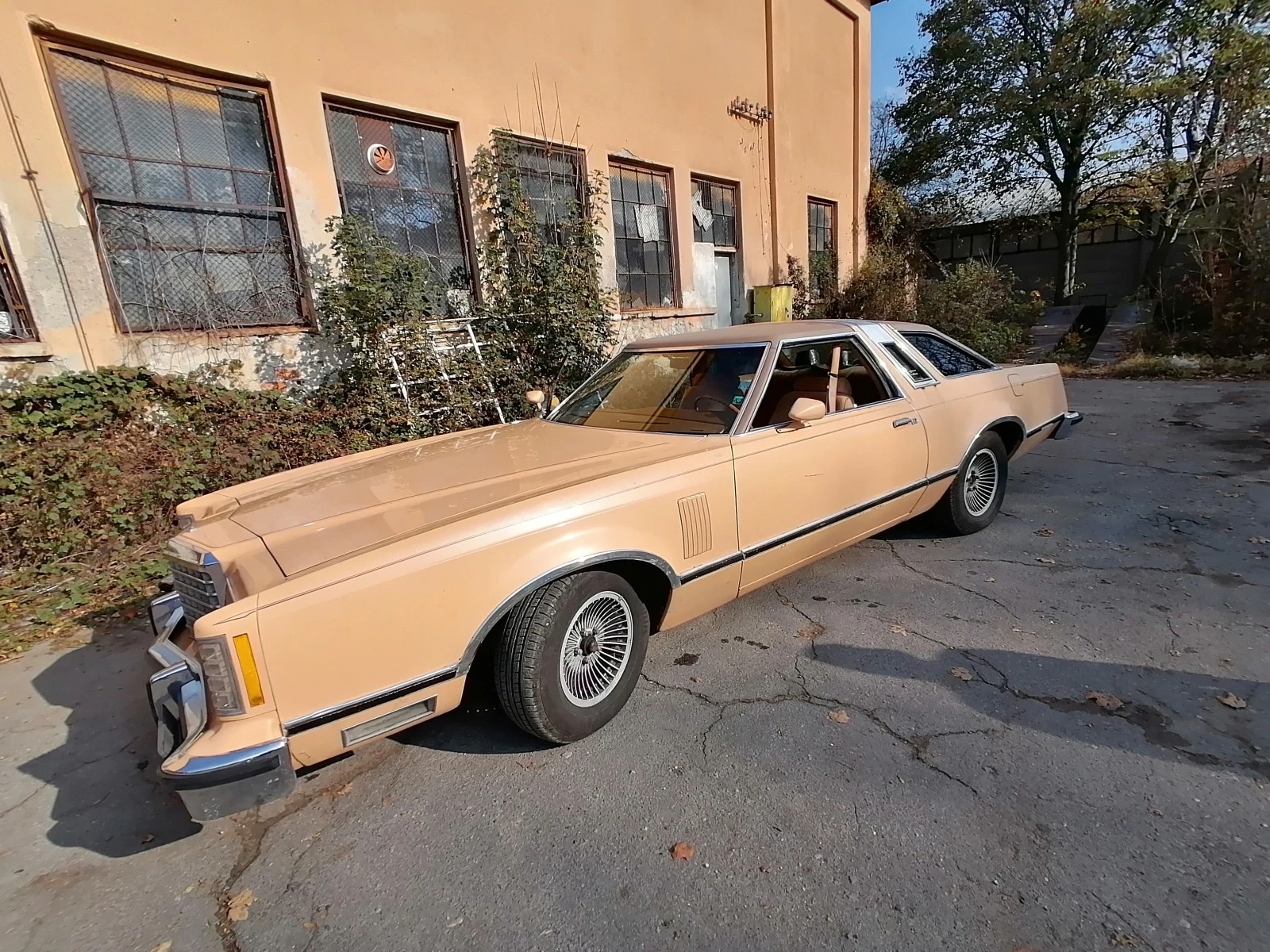 Ford Thunderbird 5.8бензин V8 - изображение 5