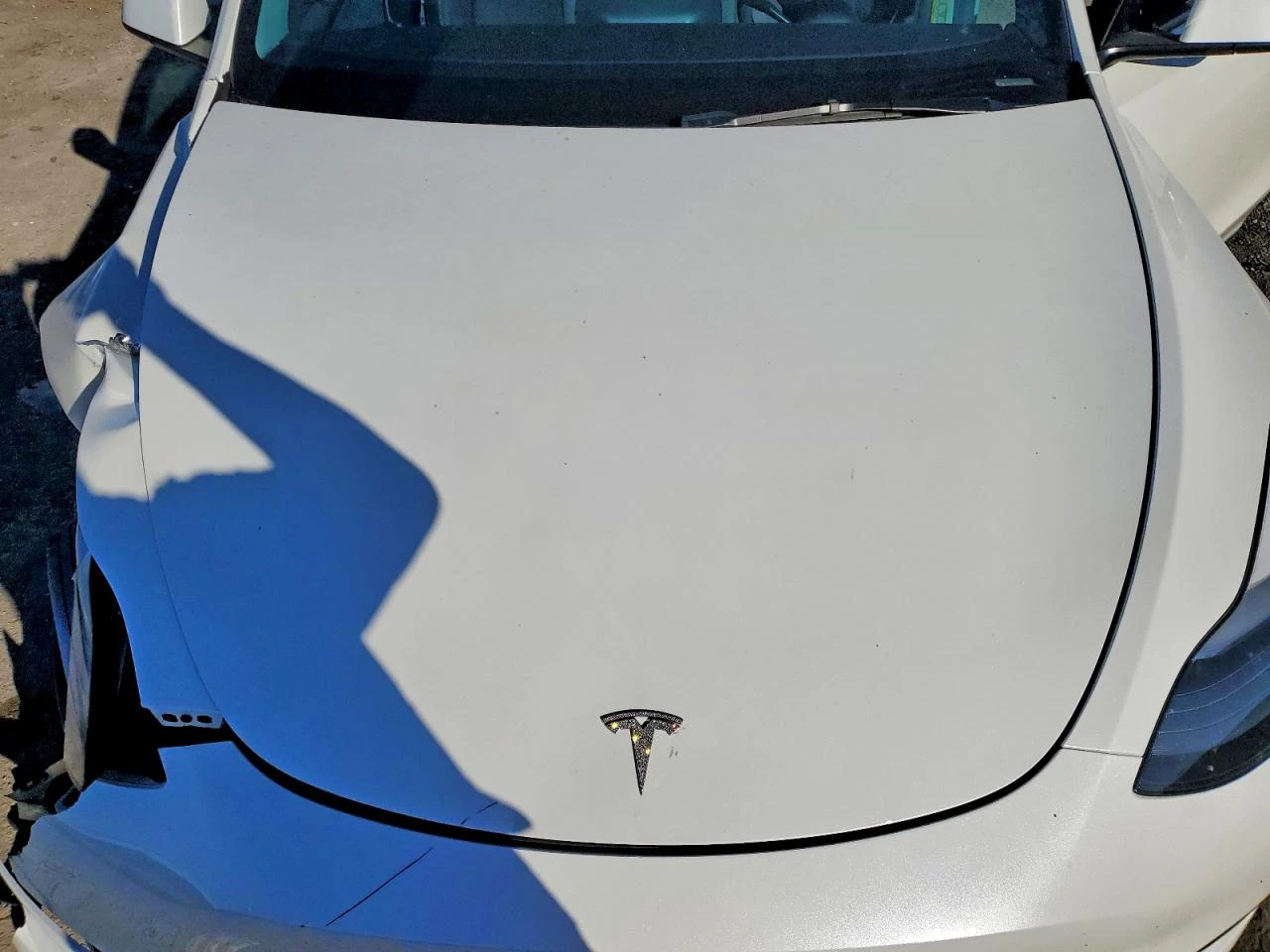 Tesla Model Y, снимка 11 - Автомобили и джипове - 54220010