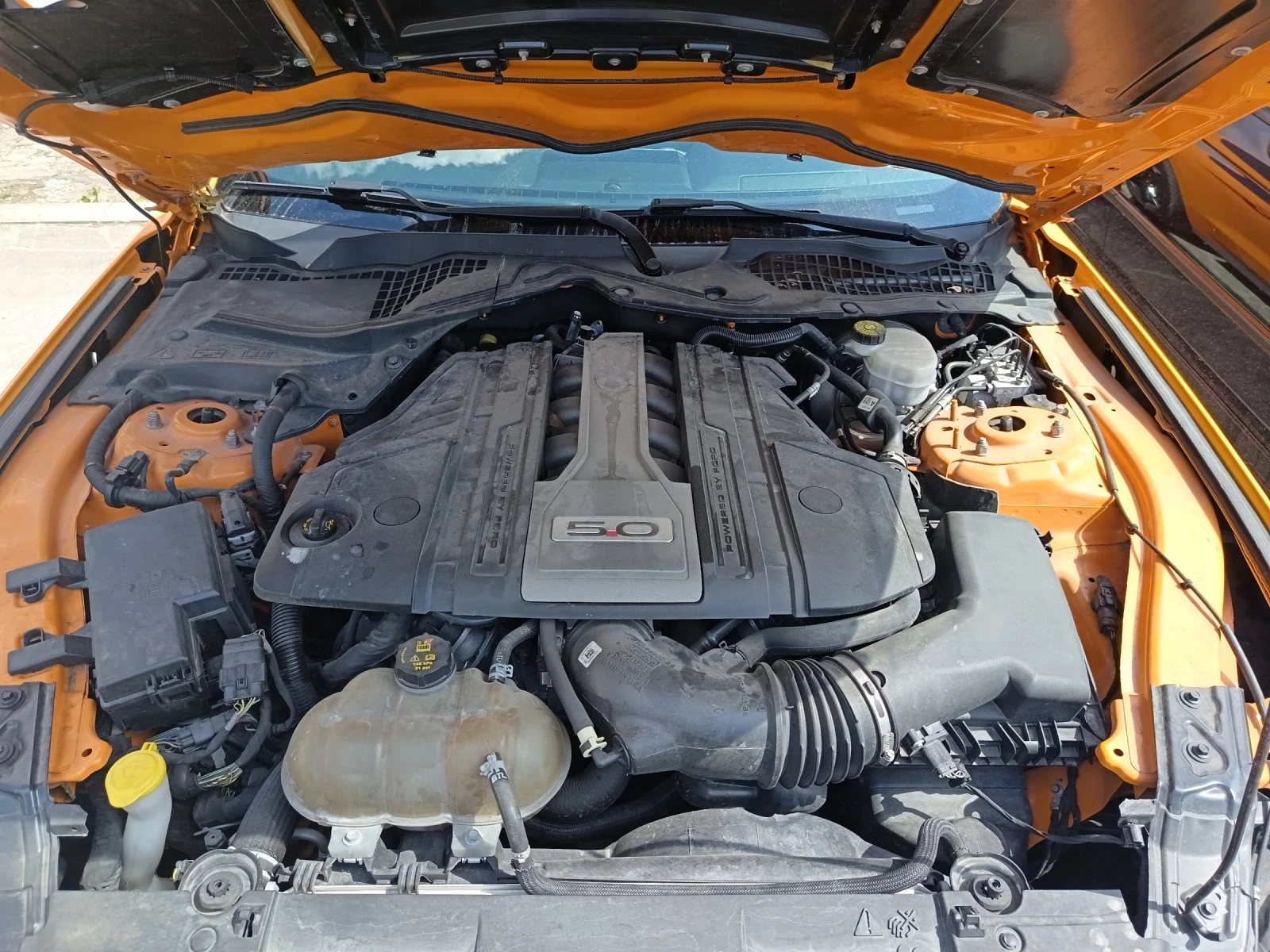 Ford Mustang GT, снимка 13 - Автомобили и джипове - 55524322