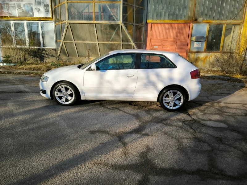 Audi A3 1.6TDI, снимка 7 - Автомобили и джипове - 47245251