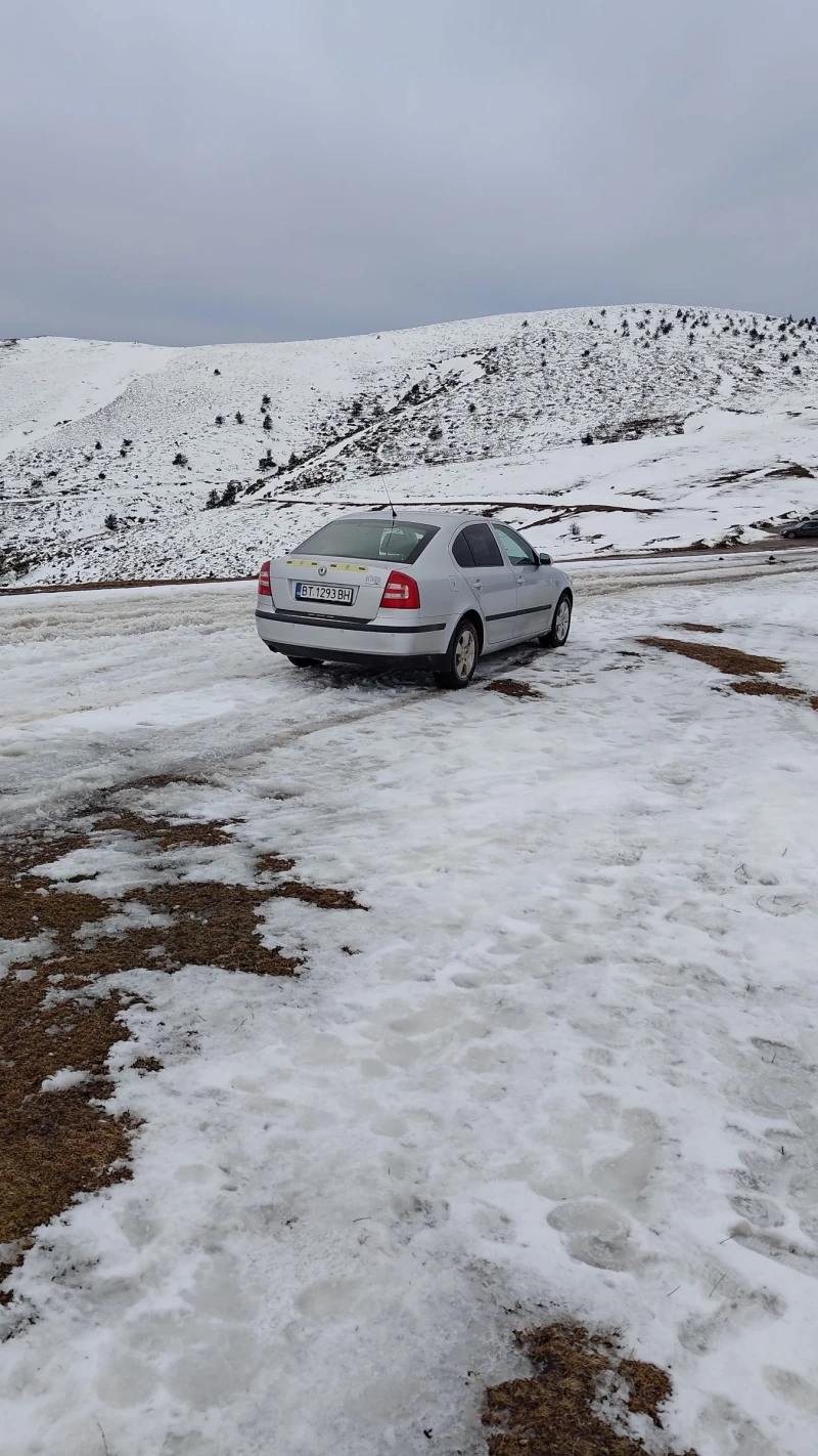 Skoda Octavia 1.6FSI, снимка 11 - Автомобили и джипове - 53211629