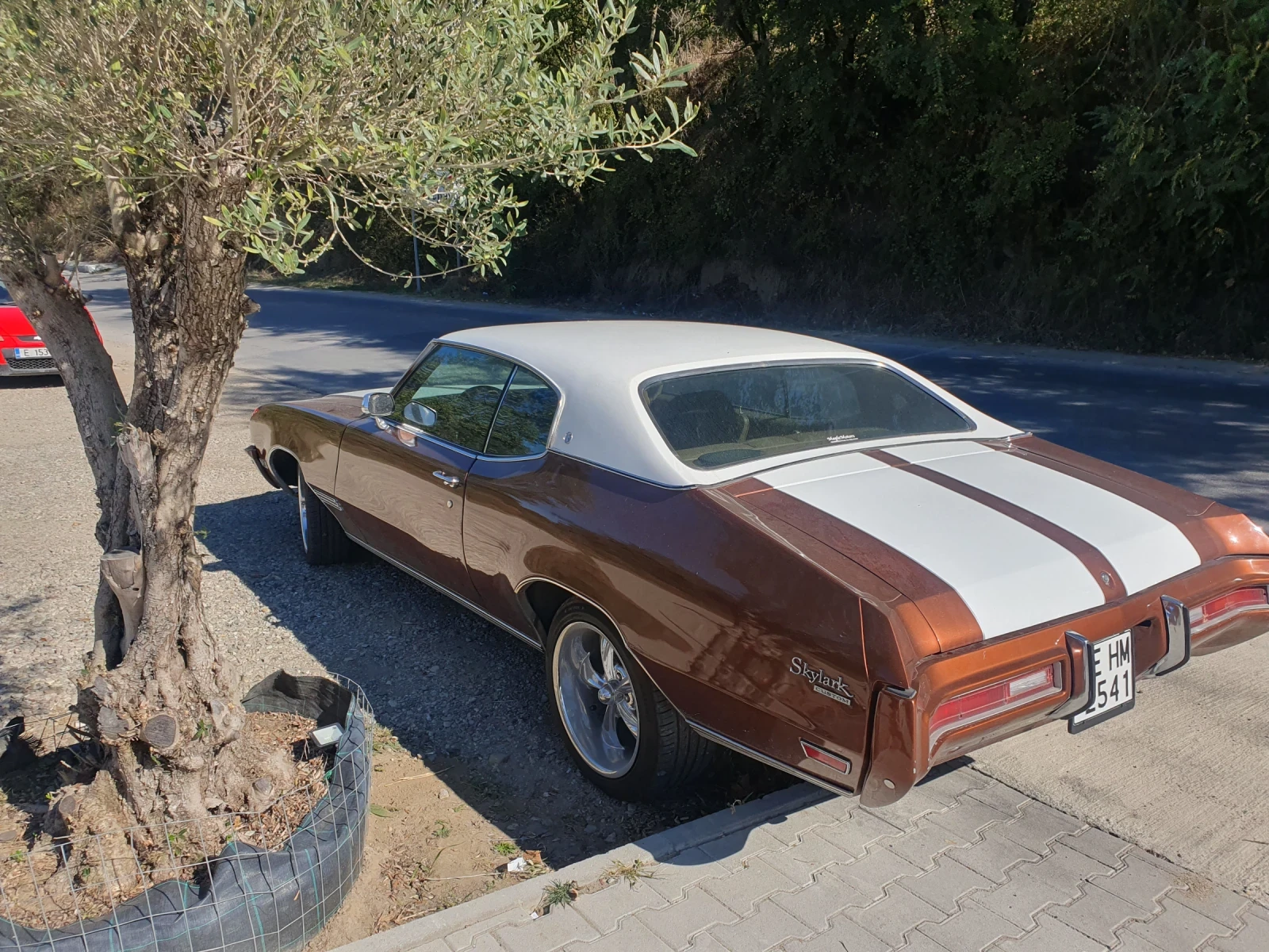 Buick Skylark V8 | Mobile.bg   4