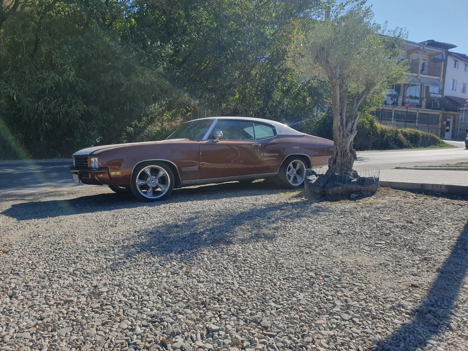 Buick Skylark V8 | Mobile.bg   2