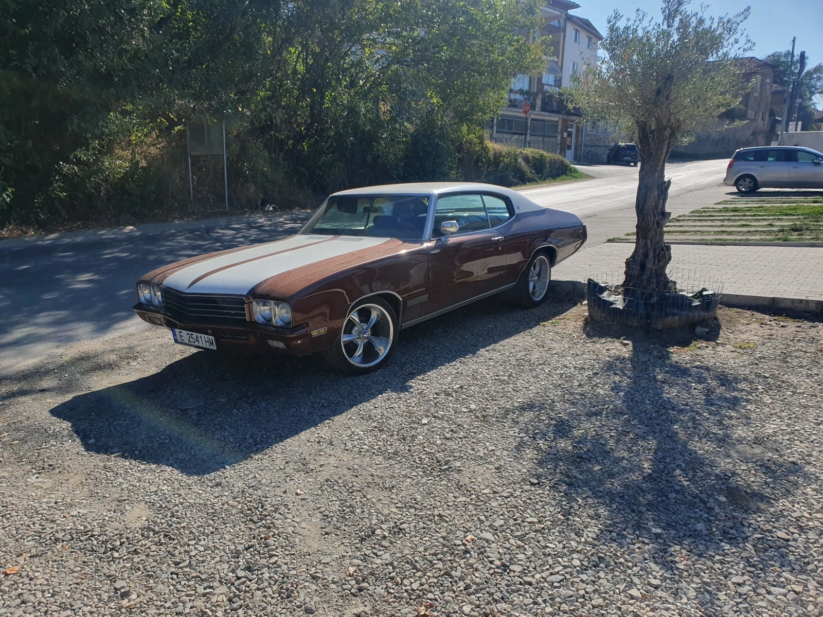 Buick Skylark V8 | Mobile.bg   1