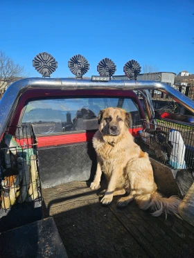 Toyota Hilux - 6700 € - 11784091 16