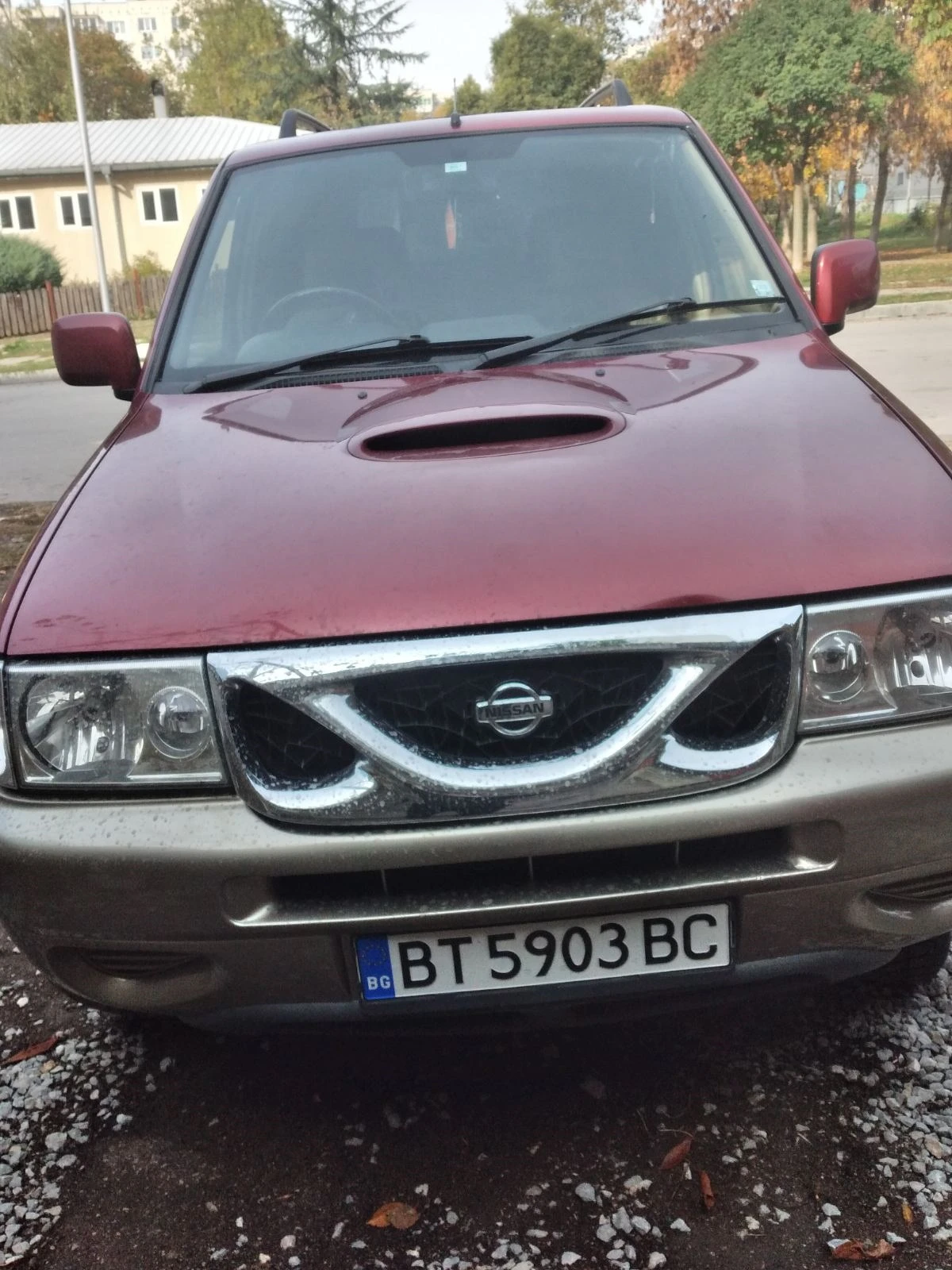 Nissan Terrano L