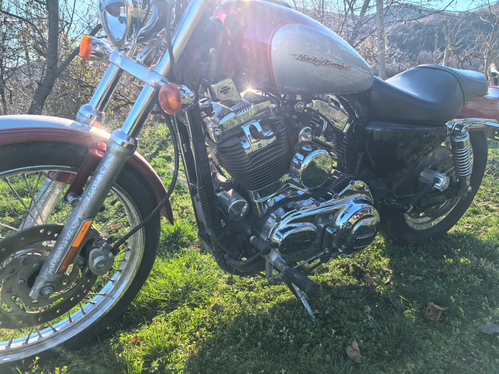 Harley-Davidson Sportster | Mobile.bg � ����������� 3