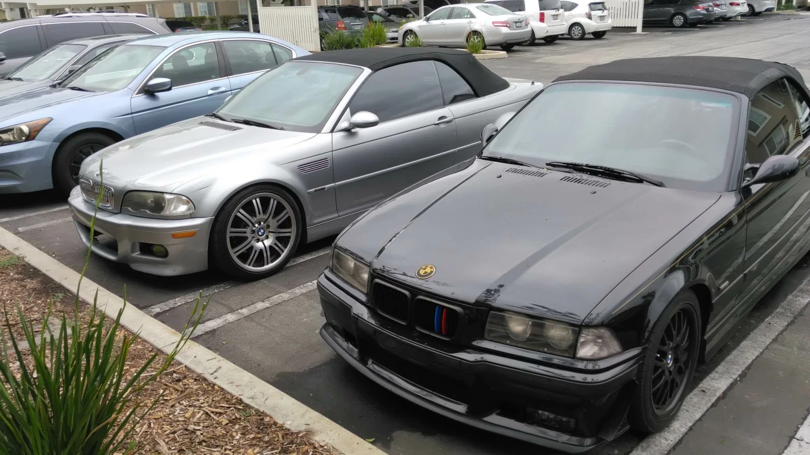 BMW M3, снимка 12 - Автомобили и джипове - 54178115