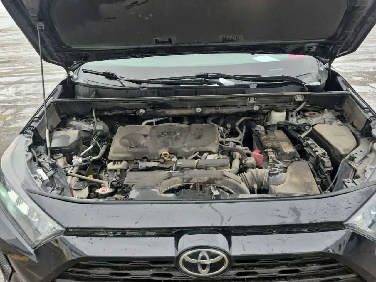 Toyota Rav4 * LE * CARFAX * БЕЗ ПЪРВОНАЧАЛНА ВНОСКА, снимка 17 - Автомобили и джипове - 53900576