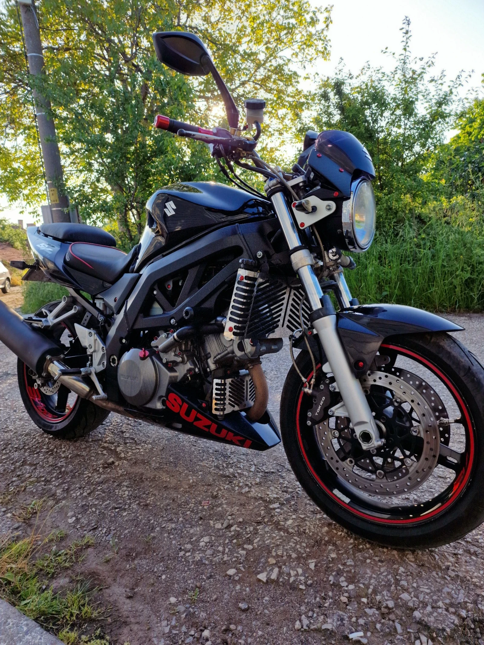 Suzuki SV  - изображение 7