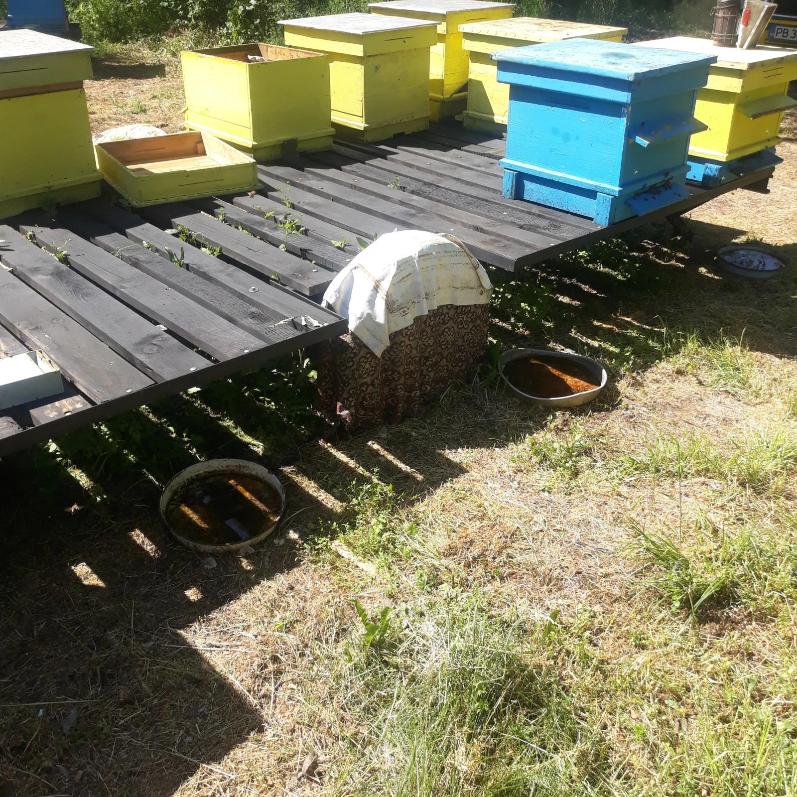   Agados | Mobile.bg   5