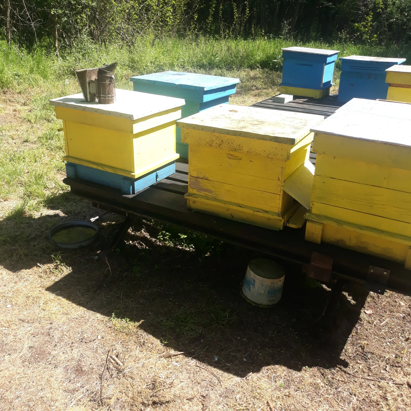   Agados | Mobile.bg   1