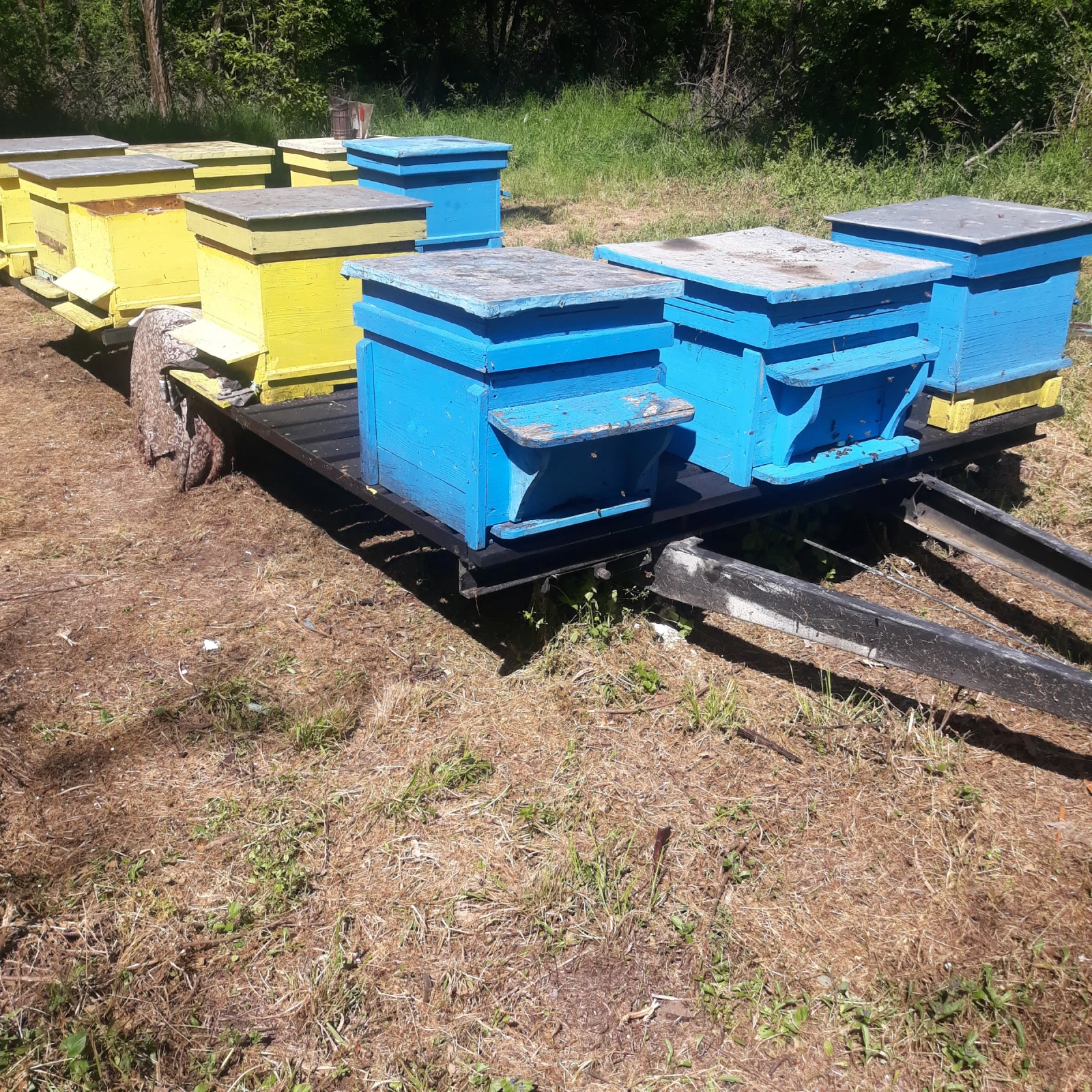   Agados | Mobile.bg   3