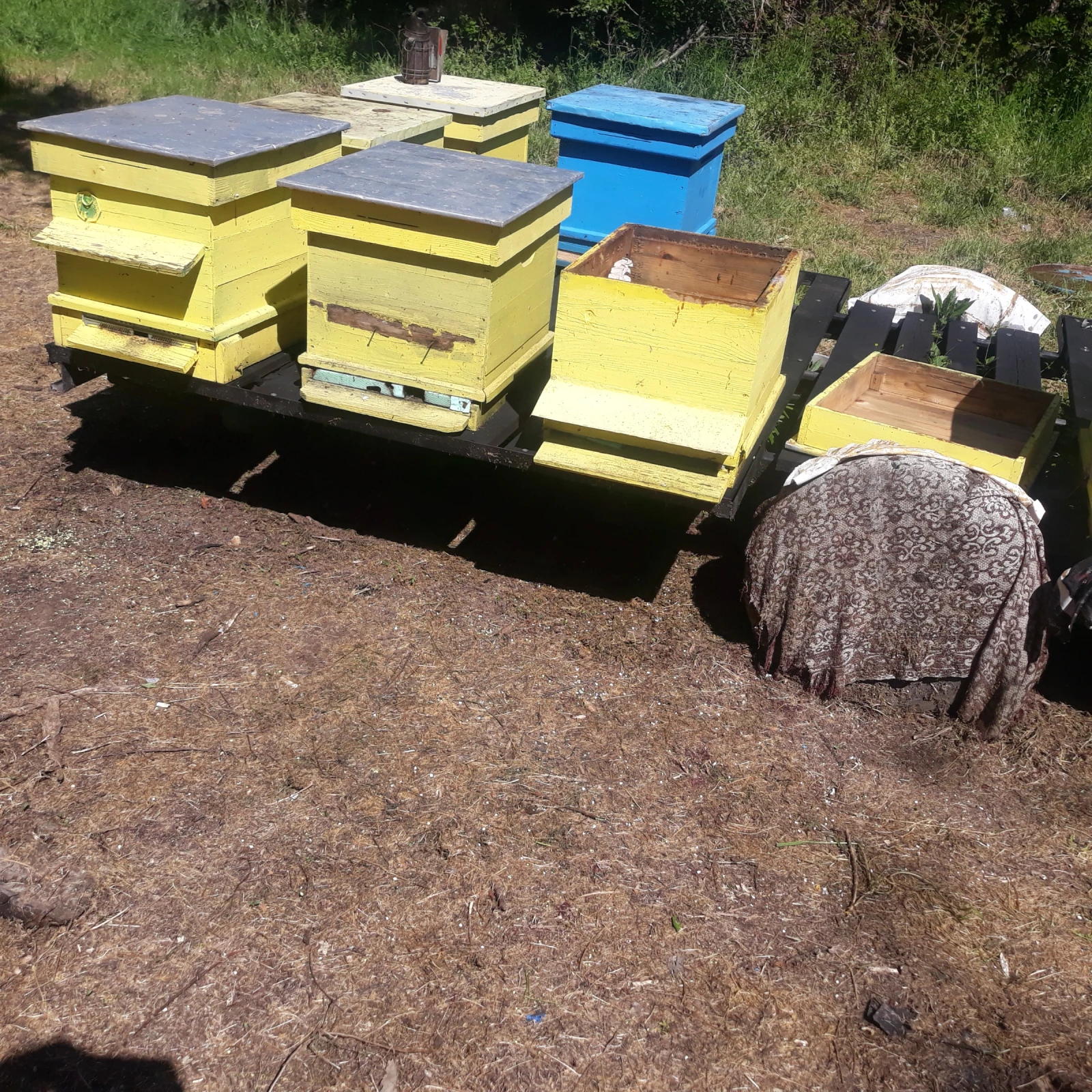   Agados | Mobile.bg   2