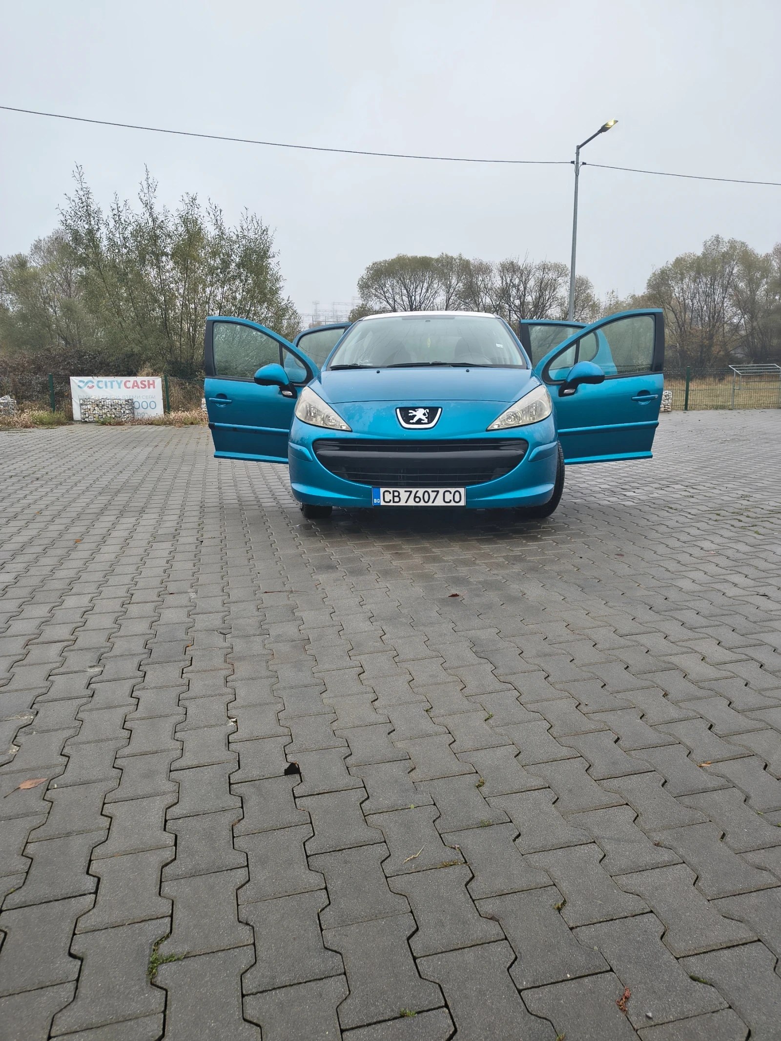 Peugeot 207