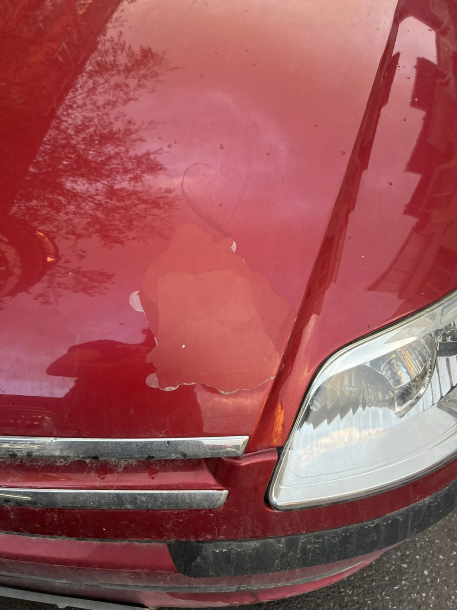 Citroen C4  - изображение 10