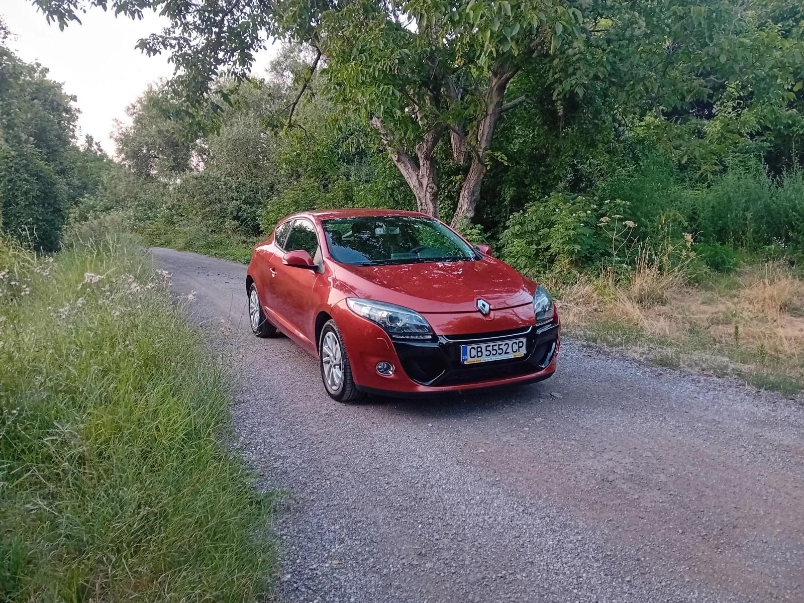 Renault Megane Coupe 1.6 DCI 130кс EURO 5A, снимка 3 - Автомобили и джипове - 55579129
