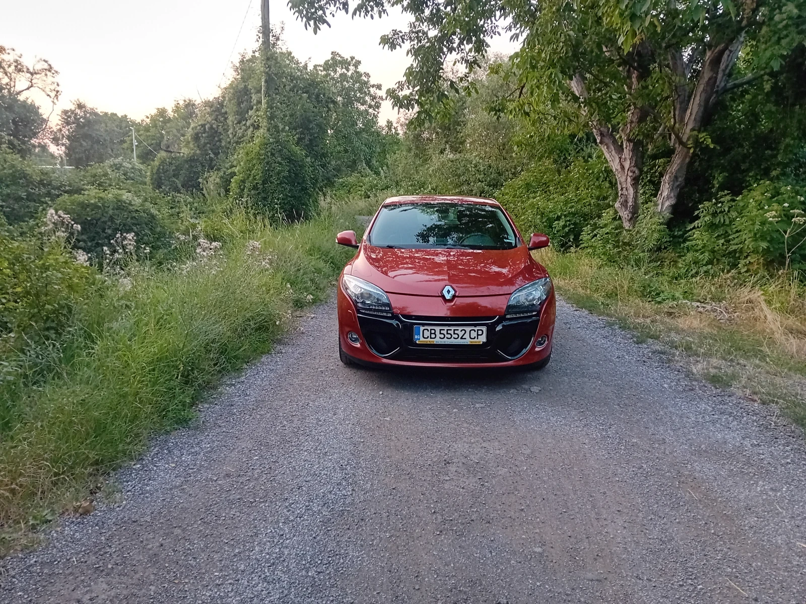 Renault Megane Coupe 1.6 DCI 130кс EURO 5A, снимка 2 - Автомобили и джипове - 55579129